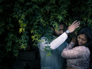 A lovely pre-wedding photoshoot of a romantic couple at green tree background